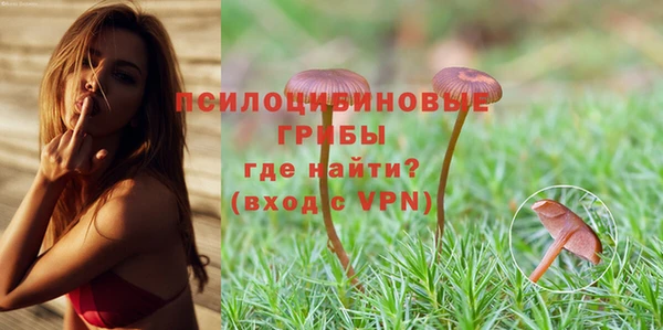 mdpv Алзамай