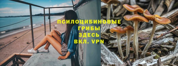 таблы Алексин