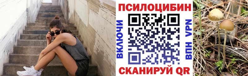 Галлюциногенные грибы Magic Shrooms Новозыбков