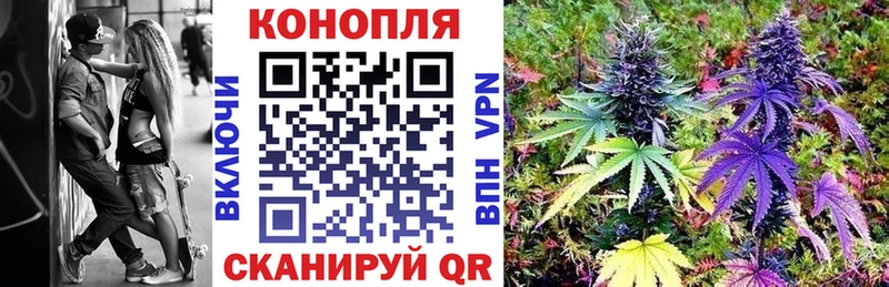 где найти Новозыбков hydra как зайти сайты даркнета официальный сайт Шишки марихуана White Widow